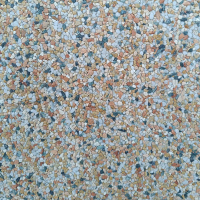 Paris (płyta płukana)